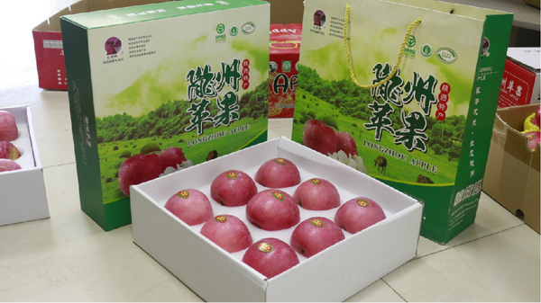 ��ʿ-9ö���