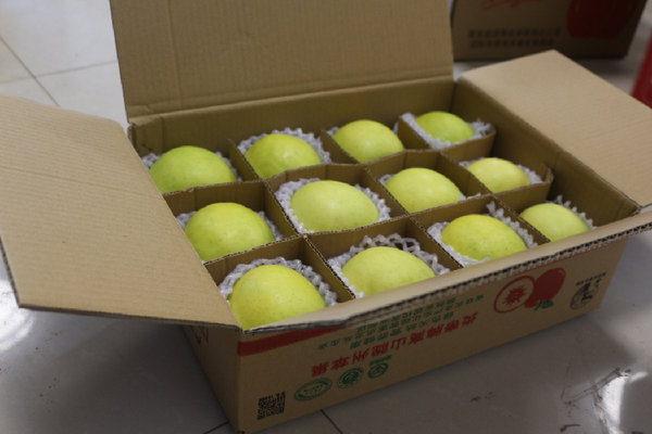 ��ѩ-2.5����