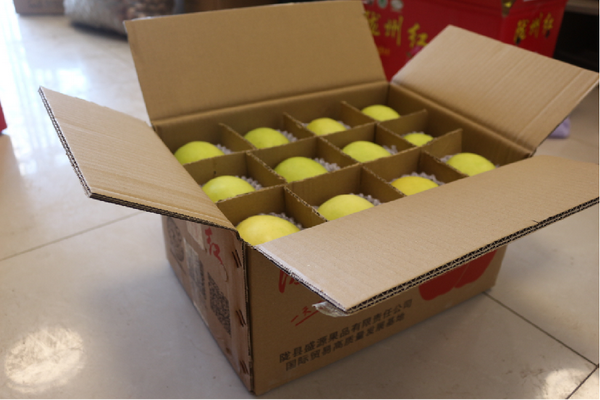 ��ѩ-5����