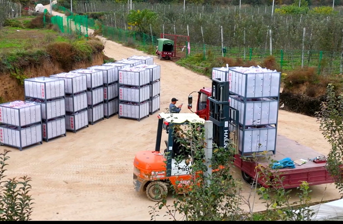 ������Ӱ